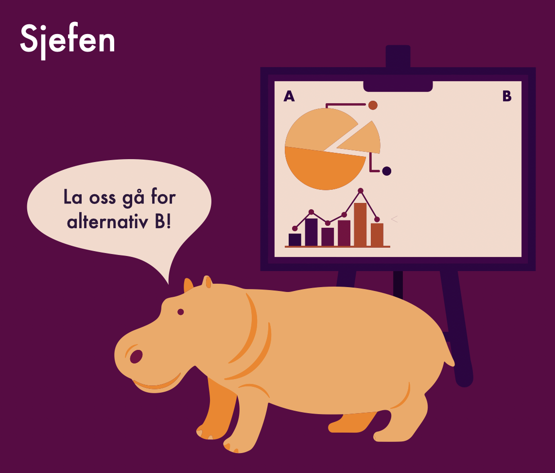 Bilde av HIPPO