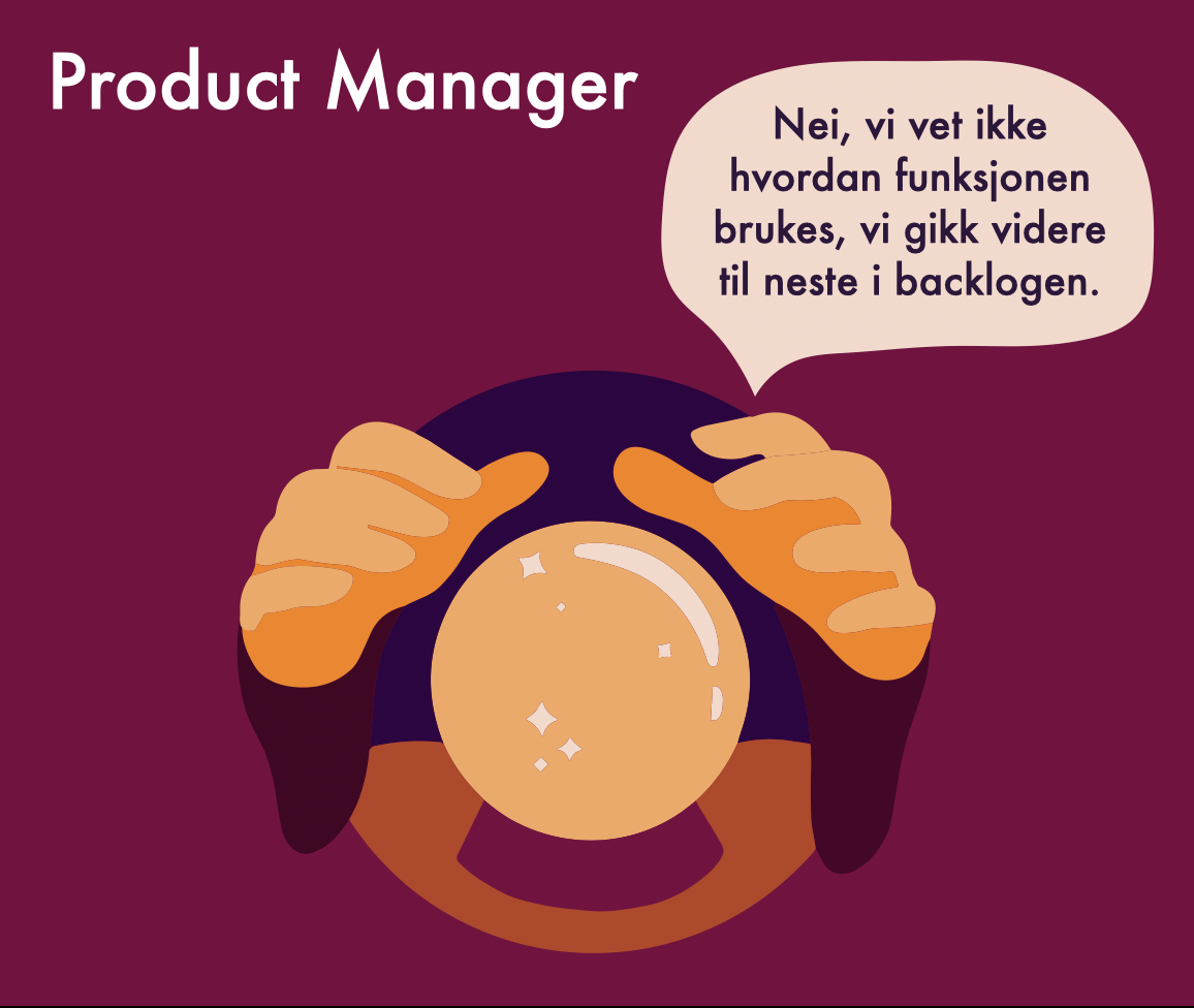 Bilde av Product Manager