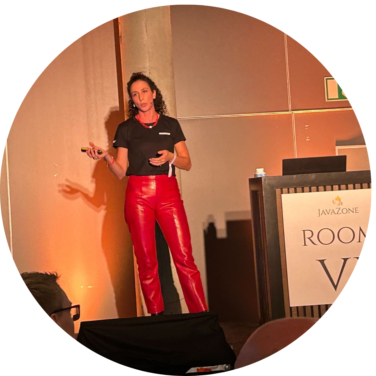 Marina på JavaZone 2025